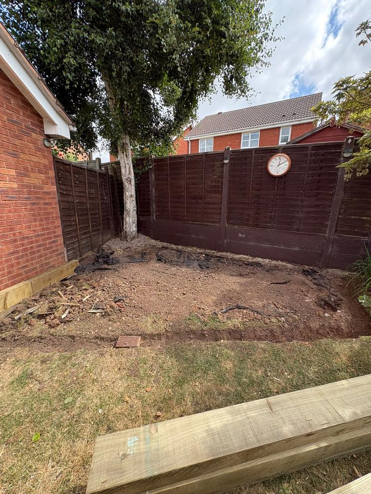 Before: a garden corner dug out and squared up under a tree